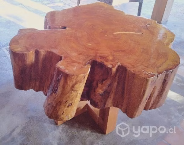 Mesa de cipres con patas de roble