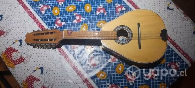 Mandolina