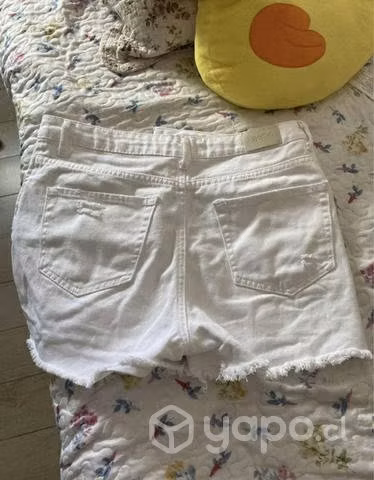 Short corto