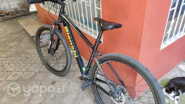 Bicicleta bianchi aro 29