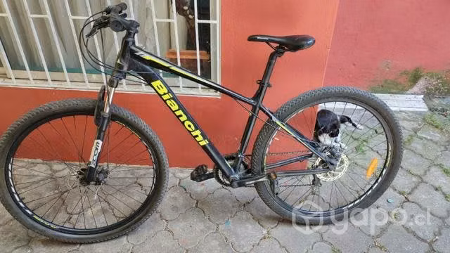 Bicicleta bianchi aro 29