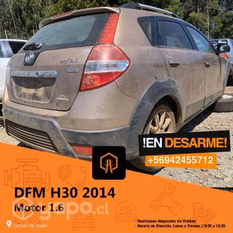 Muñon Dfm h30 2014