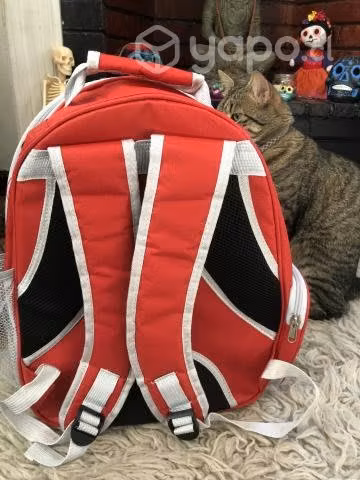 Mochila para gato