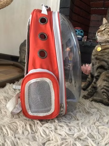 Mochila para gato