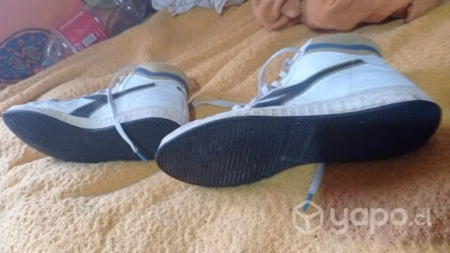 Zapatillas