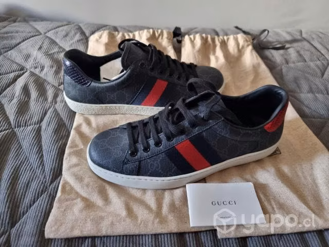 Zapatillas gucci