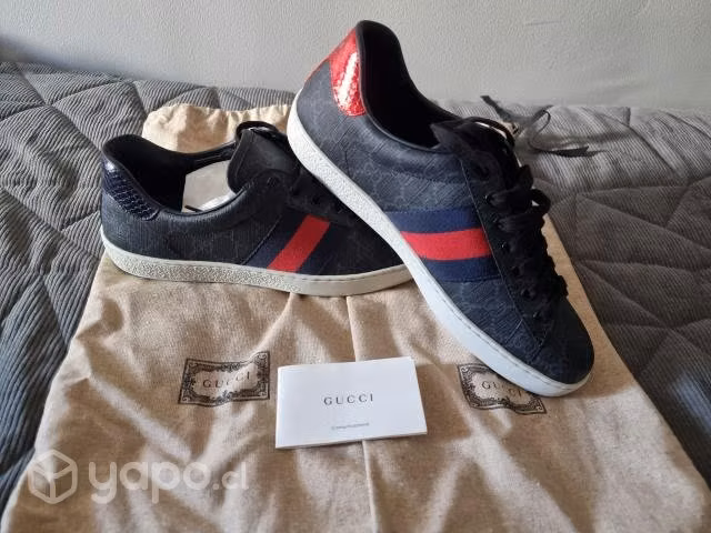 Zapatillas gucci