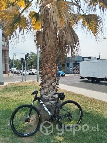 Trek Marlin 5 aro 29