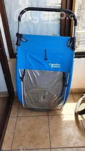 Carrito de Paseo