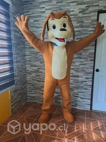 Perro chocolo - Imagen 2