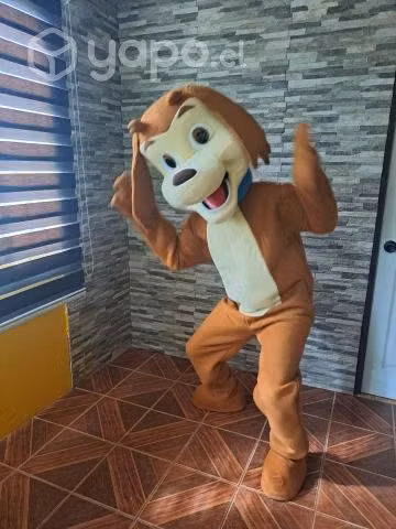 Perro chocolo - Imagen 4