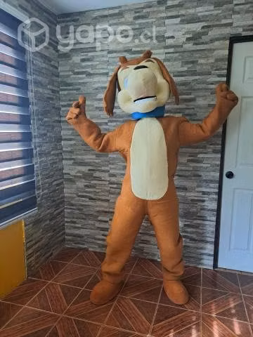 Perro chocolo