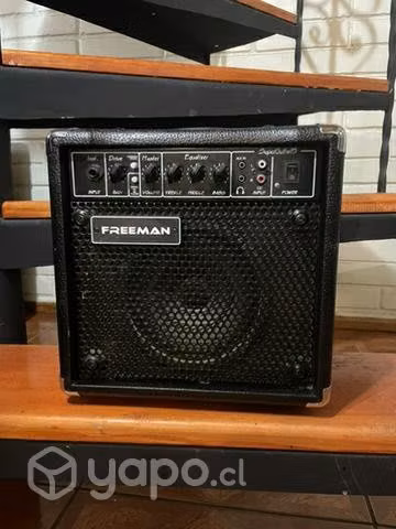 Ibanez PF15ECE-BK + amplificador y accesorios