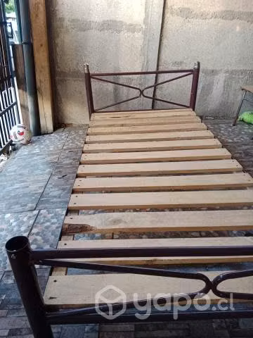 Cama