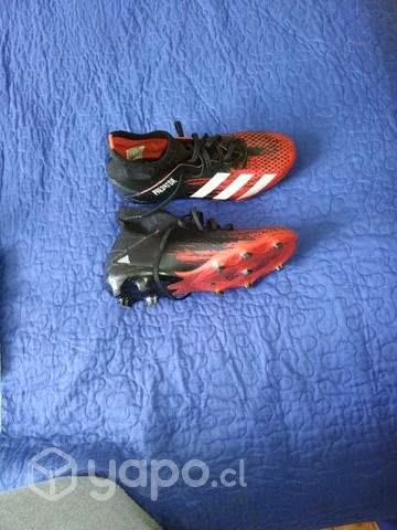 Zapatos