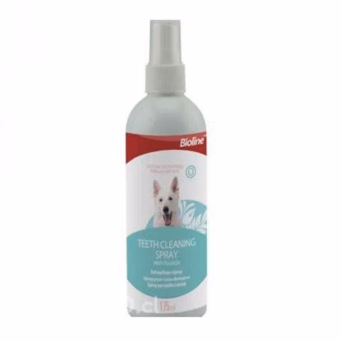 Dental Higiene Spray Bioline #2044