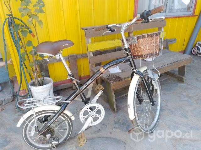 Bicicleta de Paseo