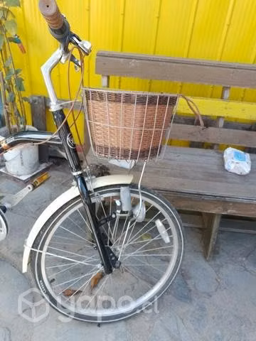 Bicicleta de Paseo