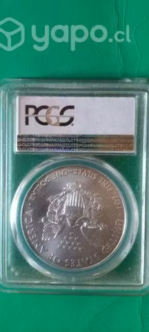 One Dollar silver
