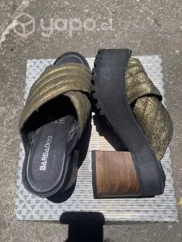 Chalas barbados 37