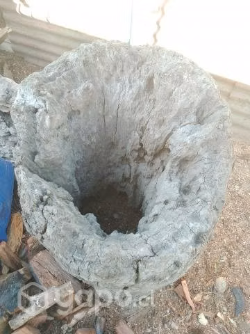 Tronco de rio.para macetero.