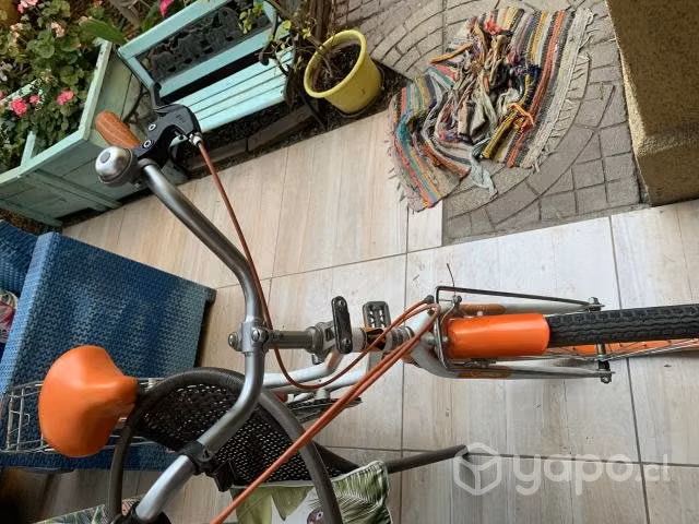 Bicicleta paseo aro 26