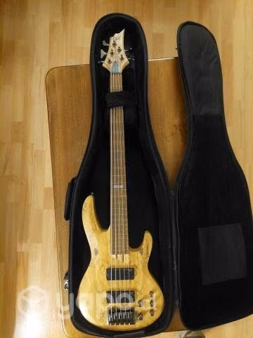 Bajo LTD 5 Cuerdas Fretless