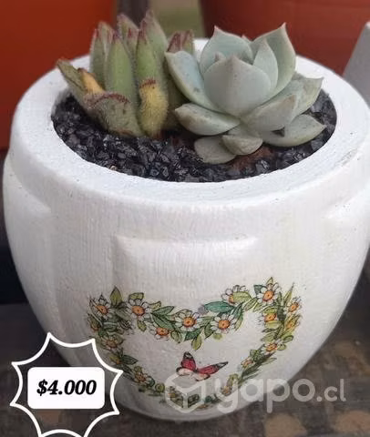 Maceteros de yeso