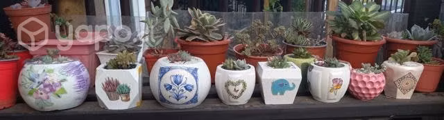 Maceteros de yeso