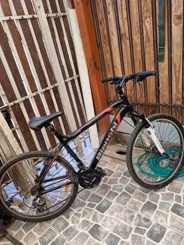 Bicicleta