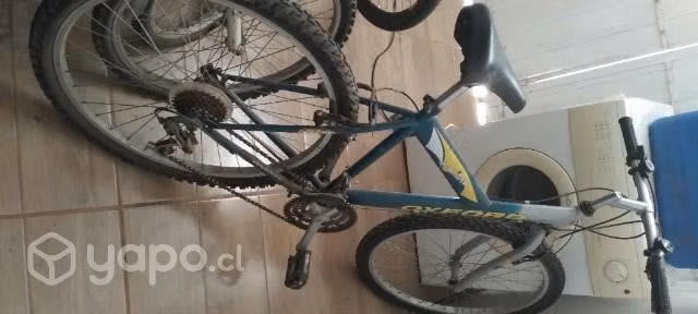 Bicicleta Oxford - Imagen 3