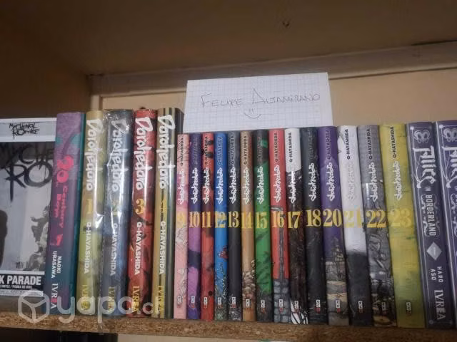 Colección de mangas en perfectas condiciones