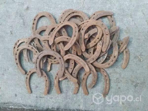 Herraduras de fierro usadas.