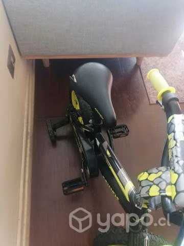 Bicicleta