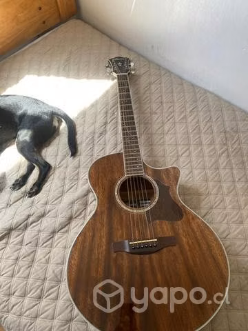 Ibanez ae245