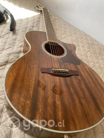 Ibanez ae245