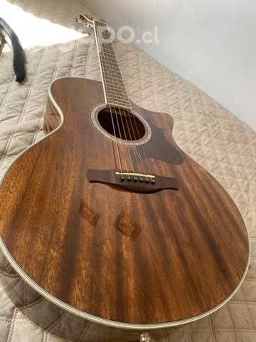 Ibanez ae245