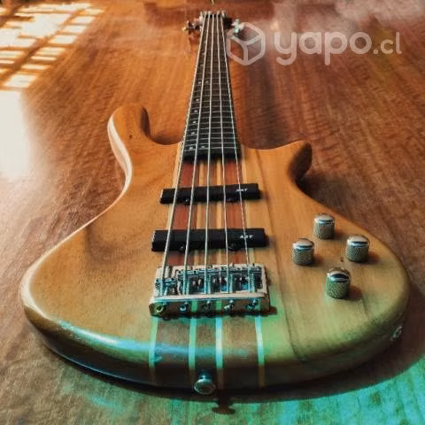 Bajo Washburn Taurus T25