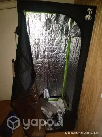 Carpa de cultivo 80x80 piranha