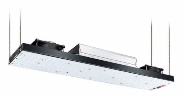 Cultivo Yxo Led 240w Uv Quantum Board