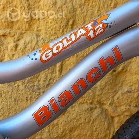 Espectacular bicicleta bianchi goliat aro 12