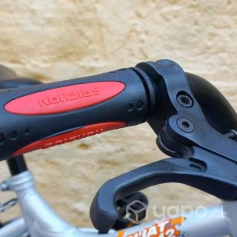 Espectacular bicicleta bianchi goliat aro 12