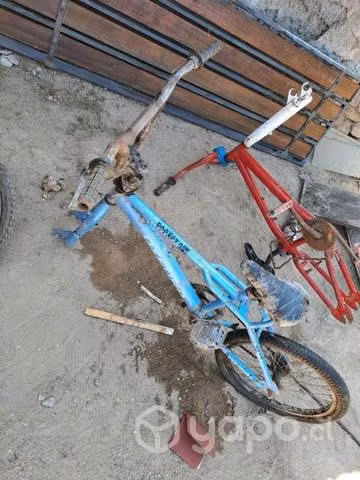 Marcos bmx