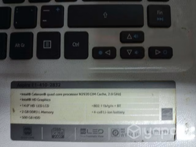 Acer