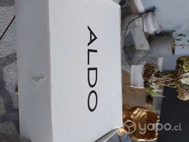 Calzado ALDO 38