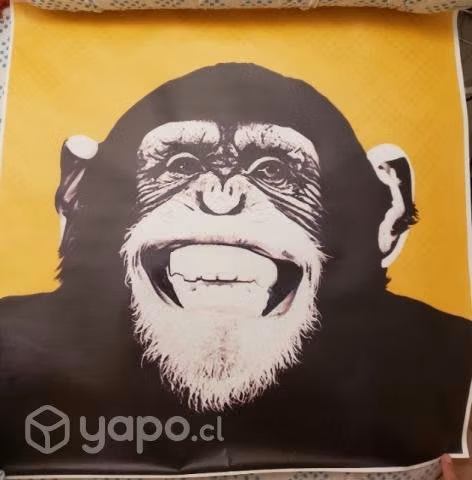 Cuadro Lienzo Canvas Gorila