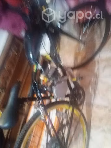 Bicimoto