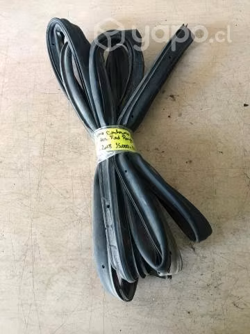 Goma contorno puerta delant der Ford Ranger 2017