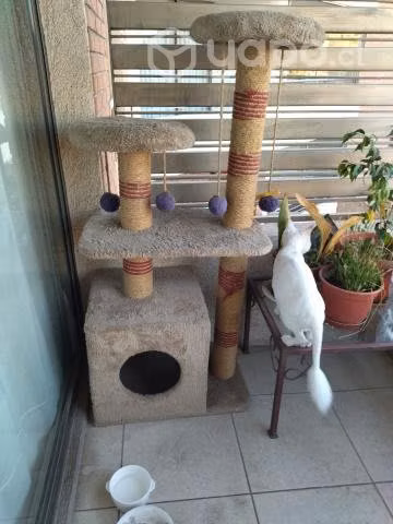Estación de juegos