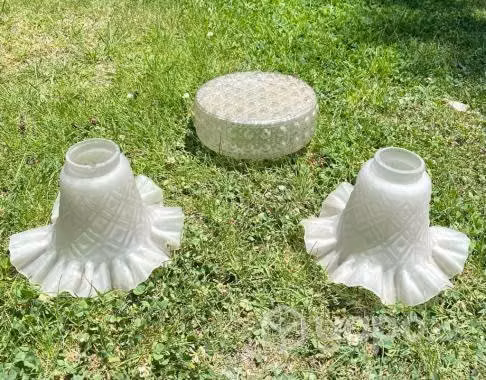 Tulipas para lámparas